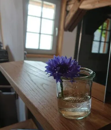 Apartment Mothsgut - Moderne Auf Dem Bauernhof Im Erzgebirge Oelsnitz (Erzgebirge)