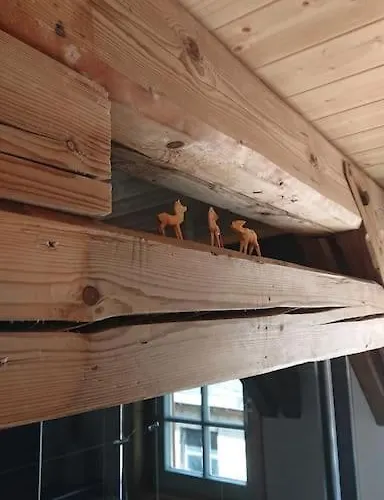 Апартаменты Mothsgut - Moderne Auf Dem Bauernhof Im Erzgebirge Oelsnitz (Erzgebirge)