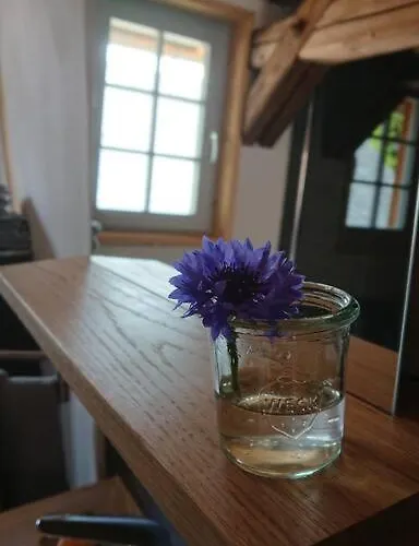 Апартаменты Mothsgut - Moderne Auf Dem Bauernhof Im Erzgebirge Oelsnitz (Erzgebirge)